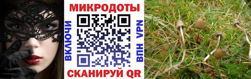 Псилоцибиновые грибы MAGIC MUSHROOMS  закладки  Владикавказ 